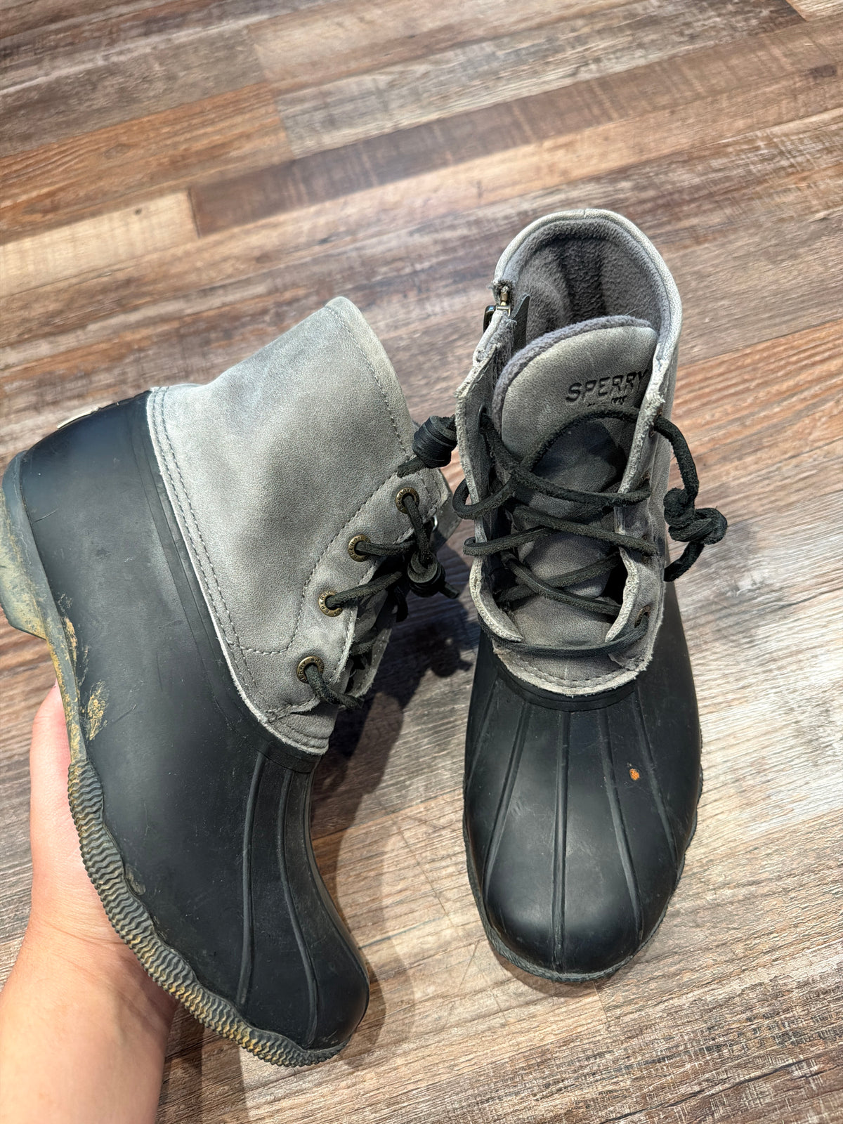 sperry 6