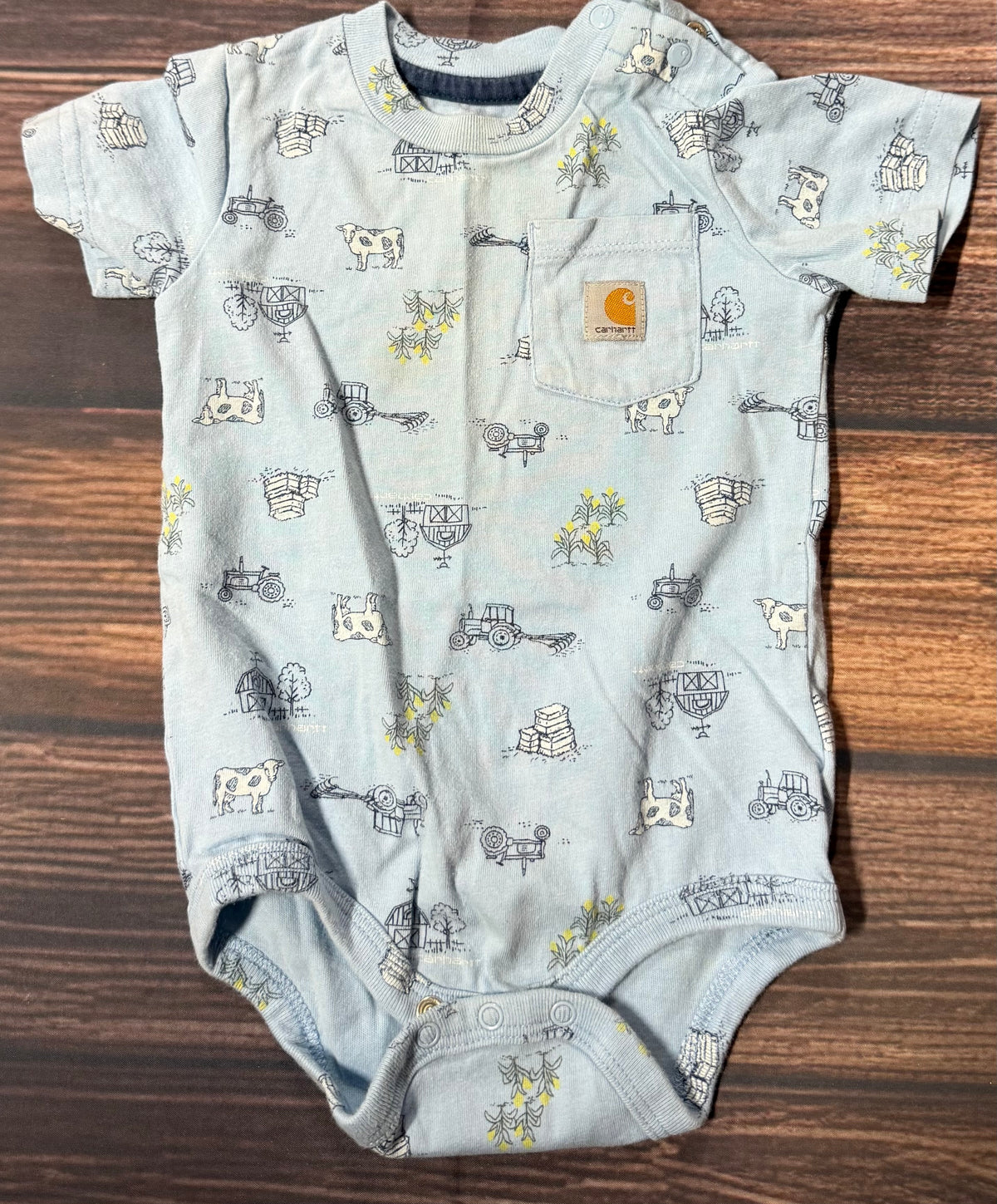 Carhartt 12m..has faint staining