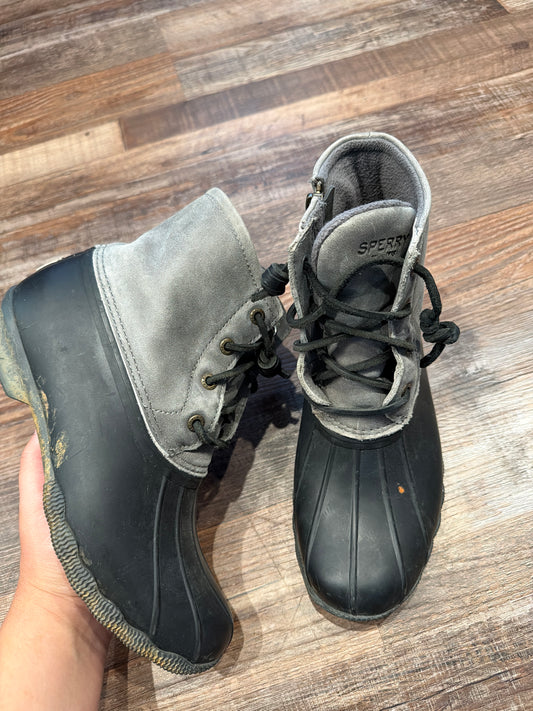 sperry 6